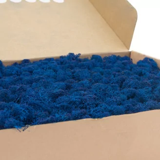 Lichen stabilis&eacute; Bleu (Bo&icirc;te)