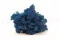 Preserved Reindeer Moss Blue (Box) 1
