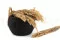 Pampa grass essiccata 6