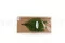 Felce Lutti stabilizzata Verde Chiaro 11