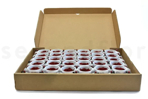 Rosa preservada XL Rojo Oscuro - Granel (x72)