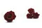Preserved Rose XL Dark Red - Bulk (x72) 5