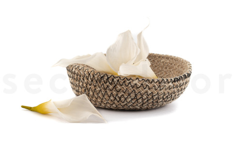 Calla Lily Konserviert - Verpackung 5 St. - Natur