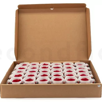 Konservierte Rose XL Rot - Gro&szlig;packung (x72)