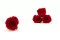 Rose stabilis&eacute;e XL Rouge - Vrac (x72) 5