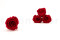 Stabilized rose Kiara XL - Bulk of 72 units - Vibrant Red 5