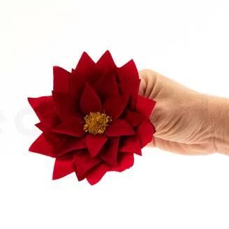 Poinsettia stabilis&eacute; Rouge (x4)