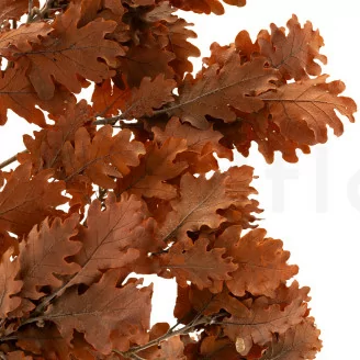 Ch&ecirc;ne stabilis&eacute; Orange
