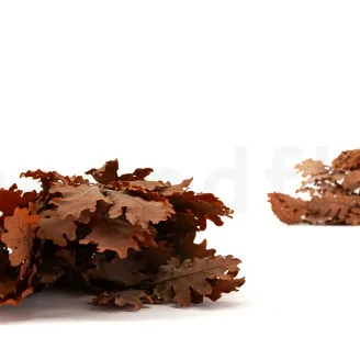 Ch&ecirc;ne stabilis&eacute; Orange