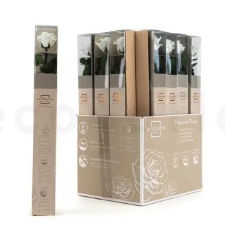 Konservierte Rose mit 50 cm Stiel Wei&szlig; - Einzelne Geschenkbox (x20)