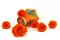 Rose stabilis&eacute;e XL Orange (x6) 8