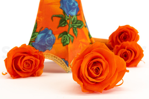 Preserved rose Kiara XL - Box of 6 - Orange Flame