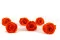 Preserved Rose XL Orange (x6) 2