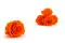 Rosa stabilizzata XL Arancione (x6) 6
