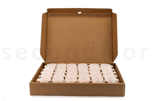 Preserved rose Kiara XL - Bulk of 72 units - Pink Blush