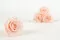 Preserved Rose XL Pink Blush - Bulk (x72) 5