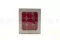 Rose stabilis&eacute;e M Hot Pink (x9) 6