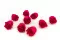Konservierte Rose M Hot Pink (x9) 4