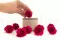 Rosa preservada M Hot pink (x9) 3