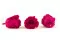 Konservierte Rose XL Hot Pink (x6) 3