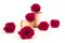 Rose stabilis&eacute;e XL Hot Pink (x6) 7