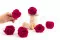 Rosa preservada XL Hot pink (x6) 5