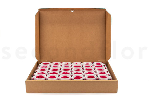 Konservierte Rose Kiara XL - Bulk 72 St&uuml;ck - Hot Pink