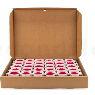Preserved Rose XL Hot Pink - Bulk (x72)