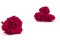 Rosa stabilizzata XL Hot Pink - Grande formato (x72) 3