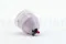 Rose stabilis&eacute;e XL Hot Pink - Vrac (x432) 10