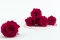 Rosa stabilizzata XL Hot Pink - Grande formato (x432) 2