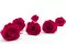 Rose stabilis&eacute;e XL Hot Pink - Vrac (x432) 8