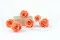 Preserved Rose XL Papaya (x6) 2