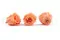 Rosa stabilizzata XL Papaya (x6) 3