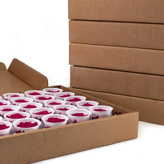 Konservierte Rose XL Hot Pink - Gro&szlig;packung (x432)