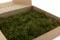 Star Moss stabilizzato (Scatola) 6