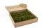Star Moss stabilis&eacute;e (Bo&icirc;te) 3