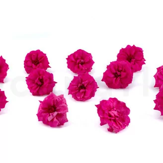 Rose Sauvage stabilis&eacute;e Fuchsia (x12)