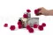 Rose Sauvage stabilis&eacute;e Fuchsia (x12) 4