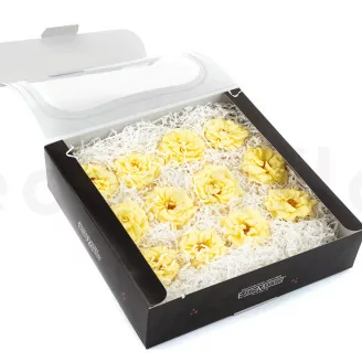 Rosa Silvestre preservada Amarillo (x12)