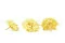 Preserved Wild Rose Yellow (x12) 4