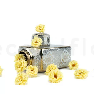 Rosa Selvatica stabilizzata Giallo (x12)