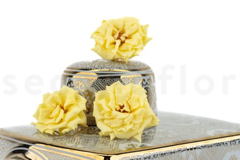Rosa Silvestre Preservada - Caja de 12 - Amarillo Claro