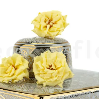 Preserved Wild Rose Yellow (x12)