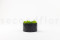 Mousse Boule et Lichen Stabilisé dans une Boîte Ronde - Medium 8