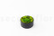 Mousse Boule et Lichen Stabilisé dans une Boîte Ronde - Medium 9