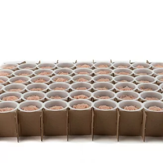 Rose stabilis&eacute;e L Antique Pink - Vrac (x378)