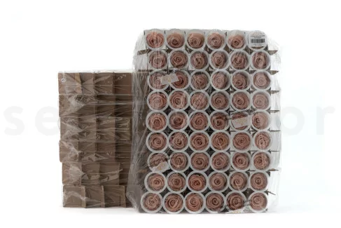 Rose stabilis&eacute;e L Antique Pink - Vrac (x378)