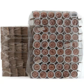 Konservierte Rose L Antique Pink - Gro&szlig;packung (x378)
