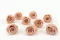 Konservierte Rose L Antique Pink - Gro&szlig;packung (x378) 6